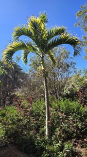 GC-Parque Botanico de Maspalomas 2025-037.jpg